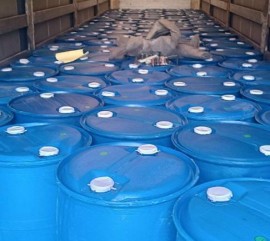 WhatsApp Image 2026-01-07 at 4.00.15 PM (1).jpeg